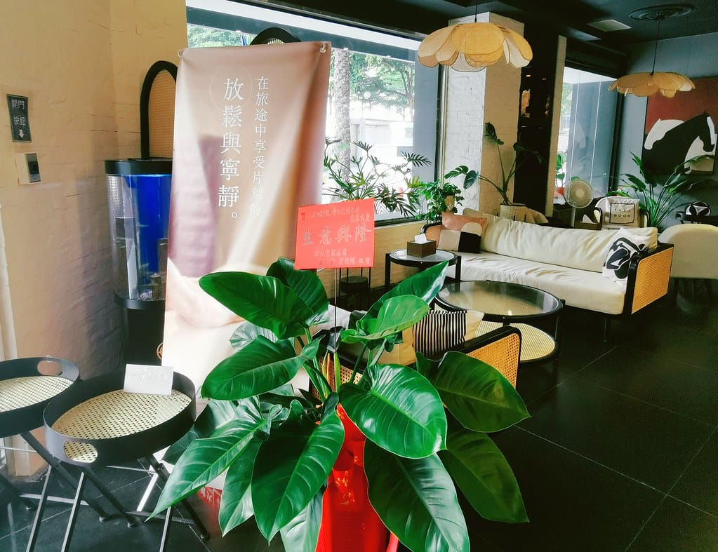 MEITU_20241101_052002096
